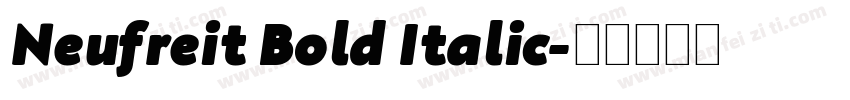 Neufreit Bold Italic字体转换
